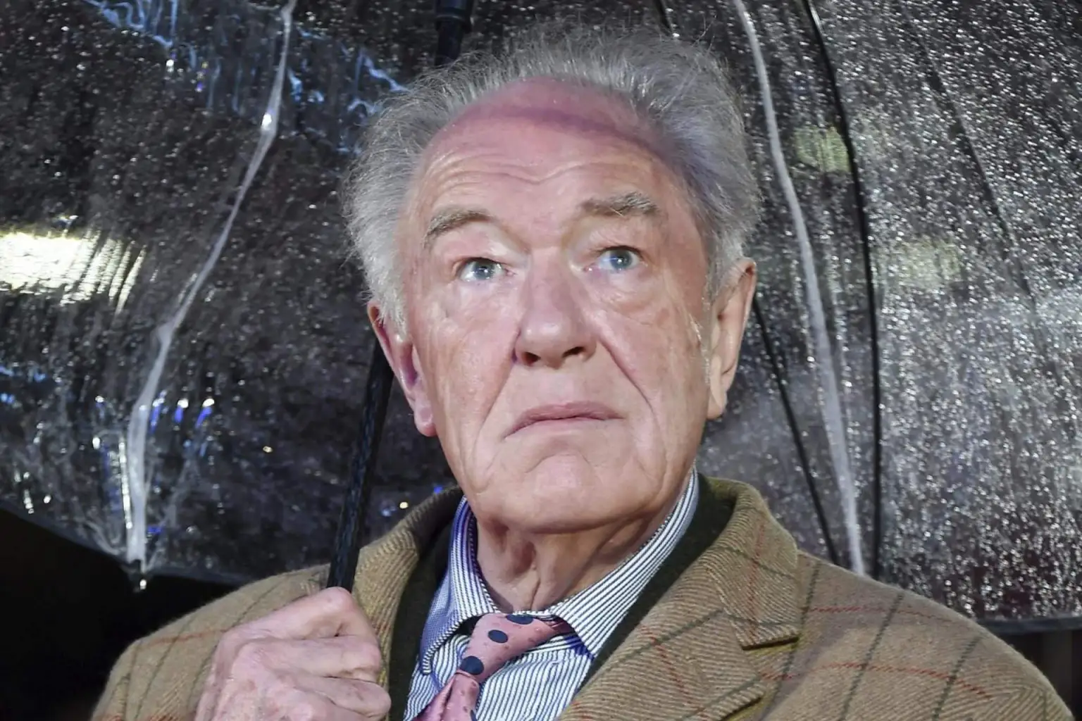 Muri Michael Gambon Conocido Por Interpretar A Albus Dumbledore En